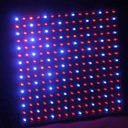 Do you have led grow lights in your garden? Amazon.com: LEDwholesalers 2501MX Blue/Red 225 LED 13.8 ...