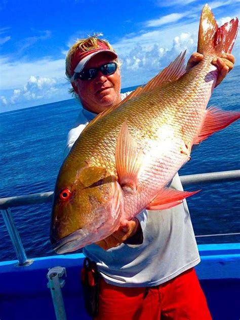 Stuart Jensen Beach Deep Sea Fishing Report And Forecast January 2016