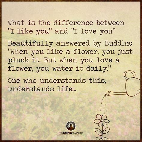 Liking someone is simply admiring them for some. What is the difference between "I like you" and "I love ...