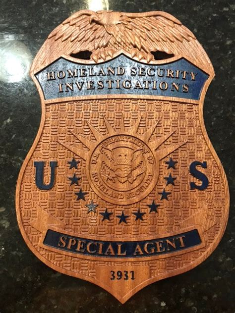 Homeland Security Investigations Hsi Badge Etsy