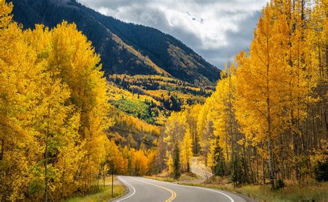 The Insider’s Guide to Aspen Fall Colors and Foliage - Aspen Signature