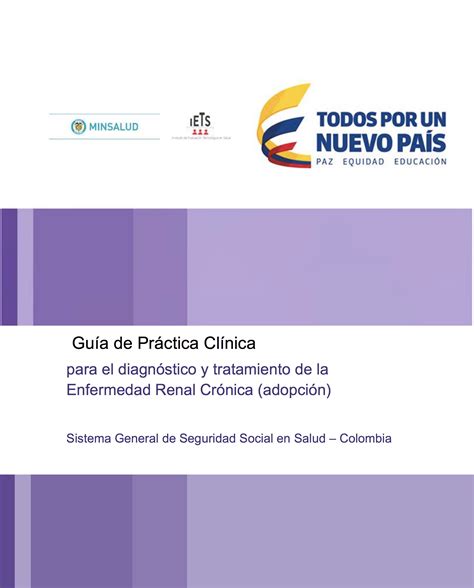 Guías De Prácticas Clínicas Gpc Para El Diagnóstico Y Tratamiento De La Erc Cuenta De Alto Costo
