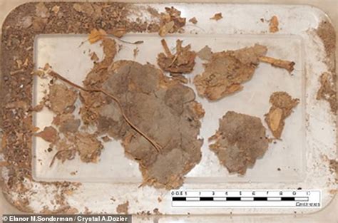 Archaeologists Discover Fossil Human Poop Containing Remains Of