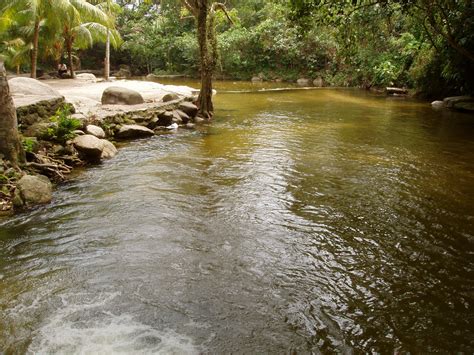 Sebuah fenomena alam yang terjadi kerana terkumpulnya mikroorganisme di pesisir tempat pertembungan air dari muara, laut atau air sungai dan membuat air menjadi. KASIH SAYANG: KASIH SAYANG TERHADAP ALAM SEKITAR