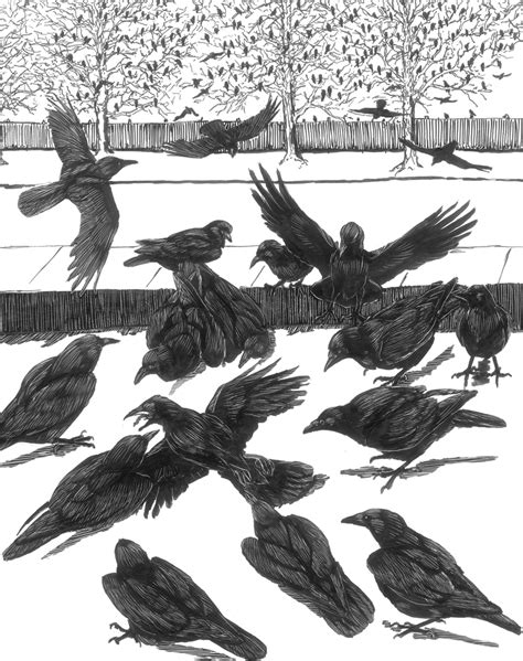Crow Funeral With Tony Angell Birdnote