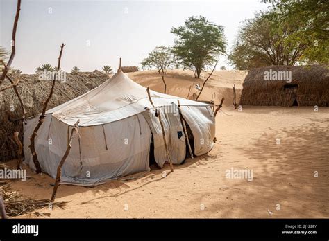 Traditional White Cloth Nomad Tent In Tanouchert Oasis Adrar Region
