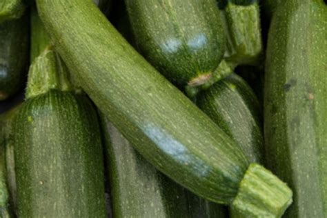 Use a mix of zucchini and yellow summer squash (i used one of each). How to Cut Thin Strips of Zucchini | LEAFtv
