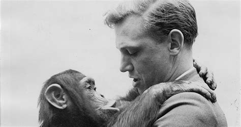 Filming his travels for the bbc's zoo quest, he went to guyana, indonesia and. Sir David Attenborough at 90: 'I often look back at that ...
