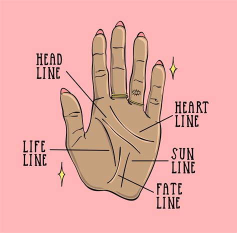 How To Read Palms Lines Learn Palm Reading Lines And Read Your Own Palm