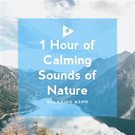 1 Hour Of Calming Sounds Of Nature Album Lullify