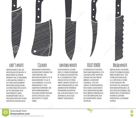 The beveled or smooth blade can vary in flexibility depending on the type of. Types of kitchen knives. stock vector. Illustration of ...