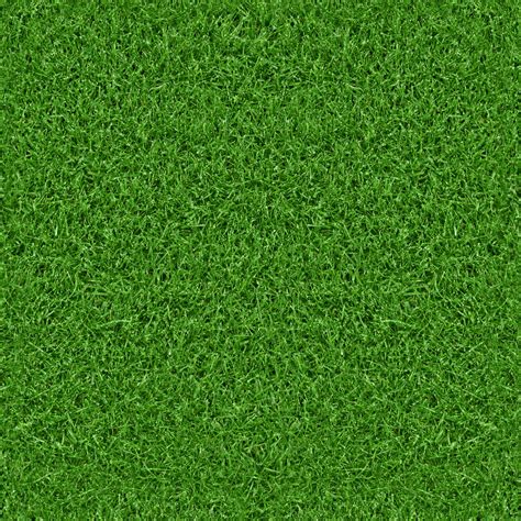 25 Elegant Grass Texture