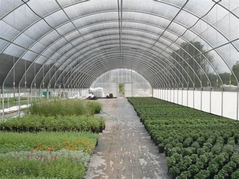 Top 8 recommended greenhouse kits 4. commercial greenhouse kits australia | Commercial ...