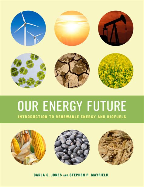 Our Energy Future By Carla S Jones Stephen P Mayfield Paperback