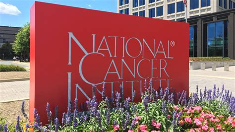 Nci Designated Cancer Centers In Usa