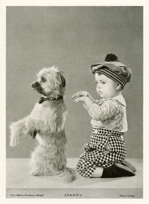 200 Best Vintage Dog Photos Images In 2020 Vintage Dog Dog Photos Dogs