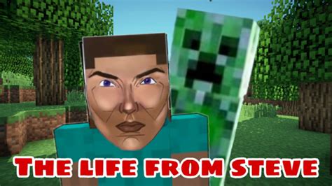 The Life From Steve An Minecraft Animation