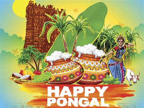 When Is Pongal 2020 How It Is Celebrated History Legend Story And