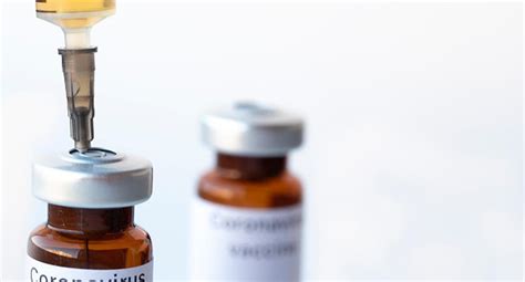 Coronavirus en Perú: Investigadores tumbesinos buscan ...