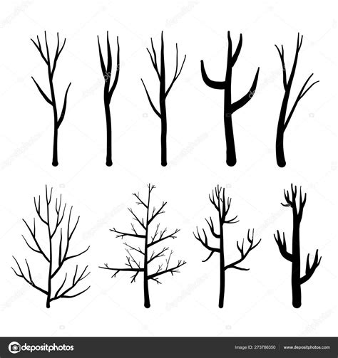 Collection Of Trees Silhouettes Isolated Naked Trees Set On White My