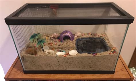 Magical, meaningful items you can't find anywhere else. DIY Hermit crab habitat | Hermit crab homes, Hermit crab habitat, Hermit crab