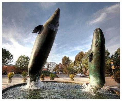 Picnic at ellen browning scripps park. Birch Aquarium at Scripps, La Jolla, CA - California Beaches