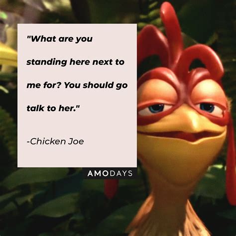 35 Chicken Joe Quotes That Embody His Radical Surfer Charm