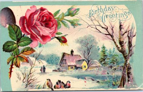 Postcard Birthday Greetings Winter Scene With Birds And Rose Ebay