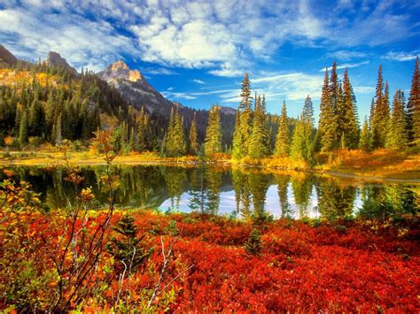 This collection presents the theme of nature wallpapers. 50+ Screensavers and Wallpaper Nature on WallpaperSafari