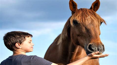 5 Reasons Horseback Riding Helps In Child Development Horse Spirit