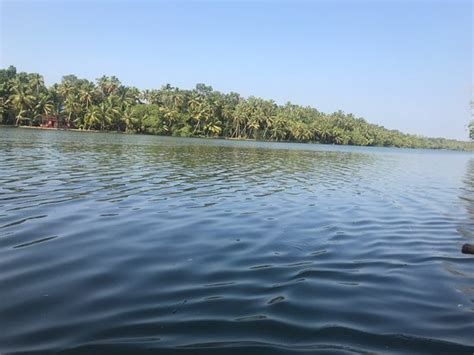 Munroe Island Backwaters Canoe Tours Kollam 2021 What To Know
