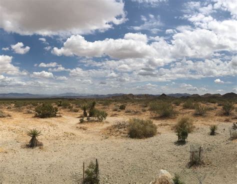Desert Ecosystems Exploring The Worlds Driest Landscapes Edzoocating