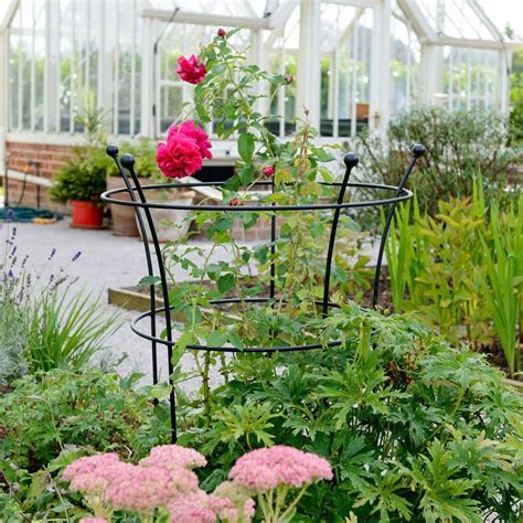 With a steel core for strength, they are designed to be package includes: Plant Supports - Garden & Plant Supports at Harrod Horticultural
