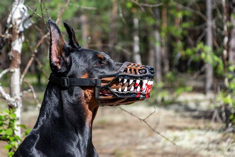 Pet T Werewolf Dog Muzzle Scary Doberman Muzzles Custom Etsy