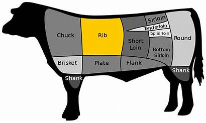 Wikipedia Rib Steak Eye Wiki