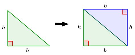 Área De Un Triángulo Rectángulo Fórmulas Y Ejercicios Neurochispas