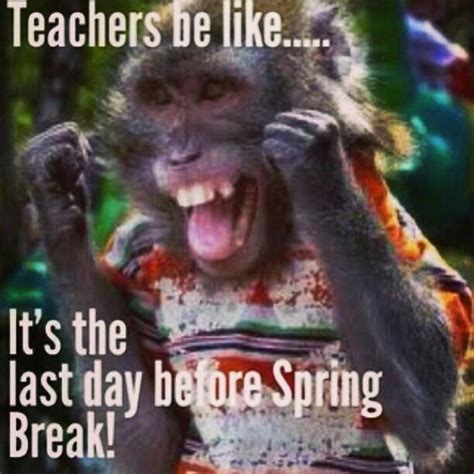 Spring Break Friday Funny Pictures T Funny Friday