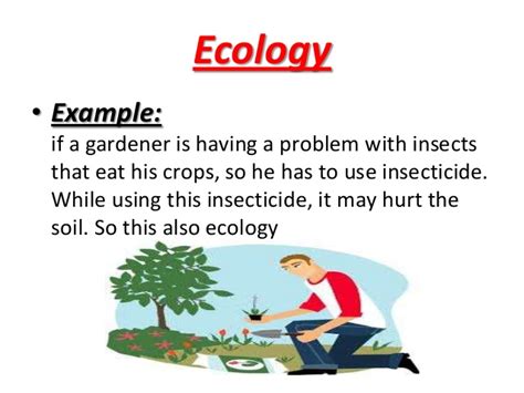 Ecology Definition