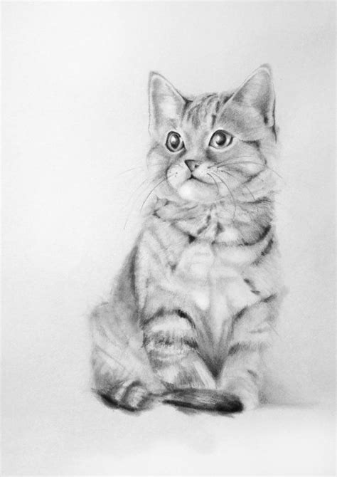 Custom Portrait Of Your Cat 7x5 Pencil Drawing From Your