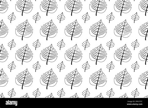 Contours Of Leaves Black And White Colors Scandinavian Style White