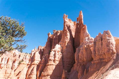 15 Brilliant Things To Do In Bryce Canyon National Park