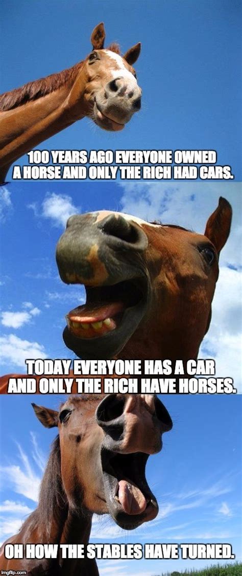 Funny Horse Meme Funny Horse Memes Funny Horse Pictures Funny Horses