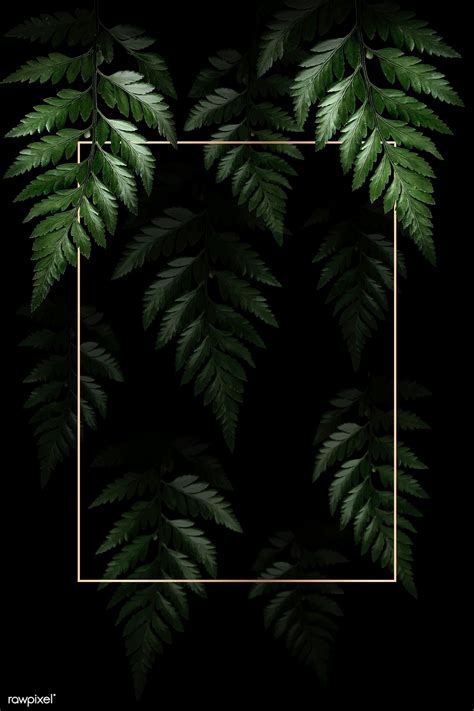Green Leaves With Gold Frame On Black Background