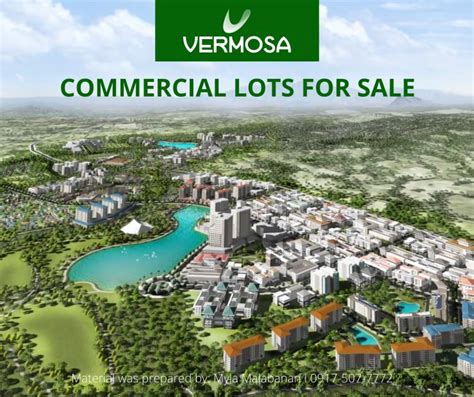 Vermosa Commercial Lots For Sale