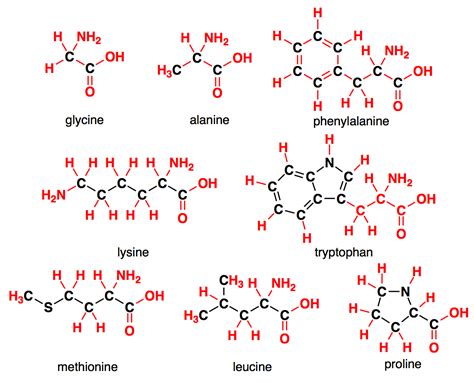 Amino Acids Names And Structures