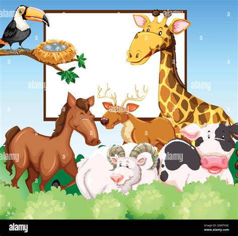 Frame Design With Wild Animals Stock Vector Image And Art Alamy