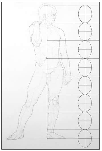Paint Draw Paint, with Ross Bowns: Drawing Basics: Figure Proportions
