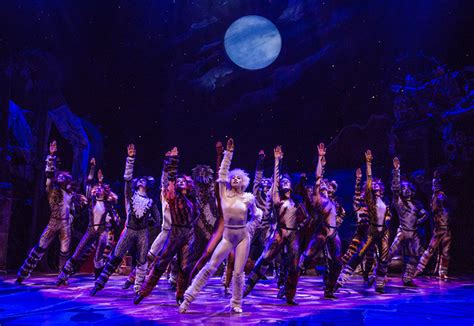 Follow cats on tour's instagram account to see all 704 of their photos and videos. CATS: O musical está de volta a Broadway!