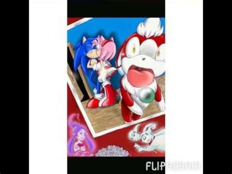 Amy Rose And Sonic The Werehog