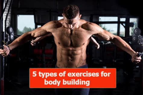 5 Types Of Exercises For Body Building Yabibo